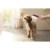 Hansgrohe DogShower 150 26640700 - фото 2