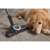 Miele Blizzard CX1 Cat & Dog PowerLine SKCF3 - фото 6