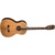 Washburn WP5234S - фото 1