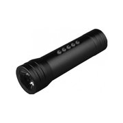 31 ВЕК P-S2 фото