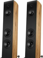 Acoustic Energy Corinium фото