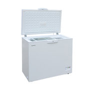 Avex CFS-250 G фото