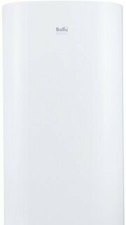 Ballu Aquastar Inox ASWX-F 100 фото