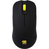 Benq Zowie FK1