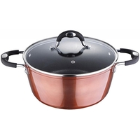 Bergner BG 6245