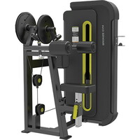 Bronze Gym BW-3005