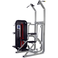 Bronze Gym MT-008