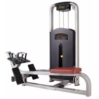 Bronze Gym MV-012A