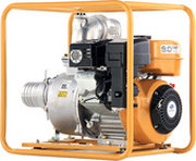 Caiman TP110EX фото