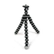 Continent E2 фото