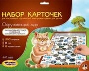 Десятое королевство Набор карточек Окружающий мир фото