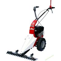 Eurosystems M85 Loncin OHV 123