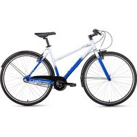 Forward Corsica 28 (2019)