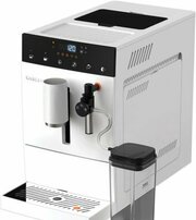 Garlyn L500 фото