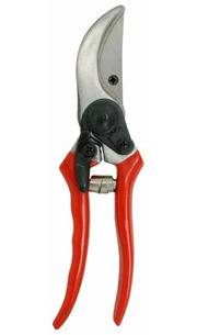 Green Belt 06-068 фото