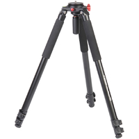 GreenBean VideoMaster 190