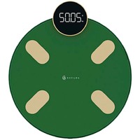 Haylou Smart Body Fat Scale