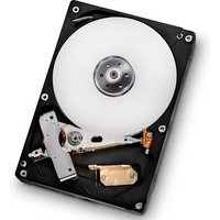 Hitachi Deskstar 7K1000.D HDS721010DLE630 1 TB