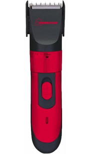 Homestar HS-9008 фото