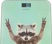 Hyundai H-BS03589 фото