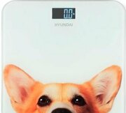 Hyundai H-BS03671 фото