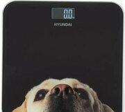 Hyundai H-BS03674 фото