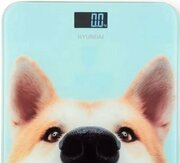 Hyundai H-BS03680 фото