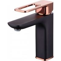 IDDIS Slide SLIBG00i01