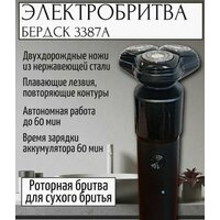 Электроприборы-БЭМЗ Бердск 3387А