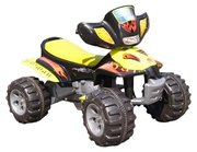 Joy Automatic Quad фото
