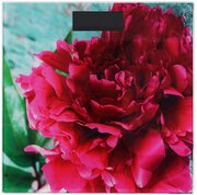 Leben 487-042 фото