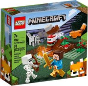 Lego 21162 фото