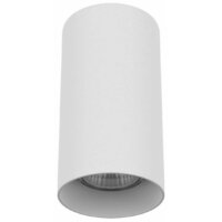 Lightstar Rullo 216486