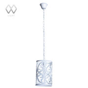 MW-Light 249016701 фото