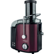 Scarlett SC-JE50S30 фото