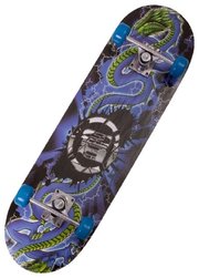 RGX Скейтборд STANDART 2 фото