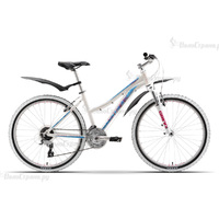 Stark Router Lady (2016)