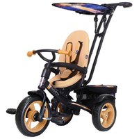 Rt Трехколесный велосипед ICON evoque by Natali Prigaro EVA Gold