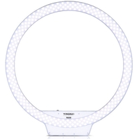 Yongnuo YN308 LED 5500K